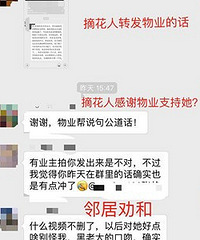 桂花事件我认怂了,摘花人你放过我吧!