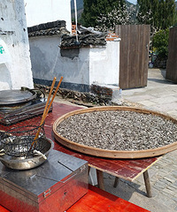 现场炒瓜子?