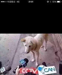 三不找