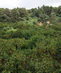 ��ĩ�ϱ���