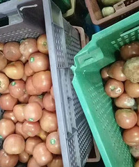 烂番茄、变质洋葱...上海某国际学校厨房食物变质过期,家长怒了