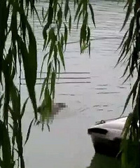 突发!上午红会医院对面贴沙河捞起一具男尸,警方调查中