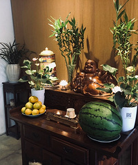 这家素食店人均只要20块,加五块钱还有一个小火锅!