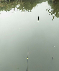 �����ҵ����� ����