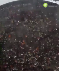 丽姐纯手工老姜膏