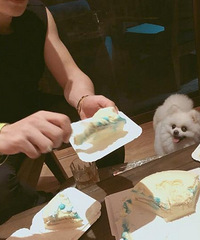 张馨予为老公怼喷子后再度秀恩爱,饭后散步还给狗狗拍照