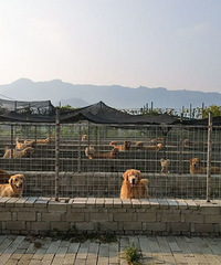 ̨�ݾ���Ȯ��רҵ�������ѵ��