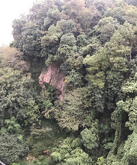 打卡九张图+美景10.22