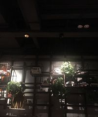 九张图 打卡+美景