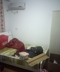 ��ϵ����