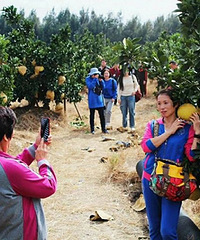 ���ز��ĵ�