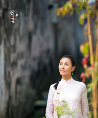 【近乡情怯】