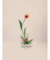 Сԭ������ʮ���Σ�D2 ���⽳ֱ����������֦��