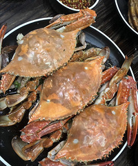 请假去吃吃吃