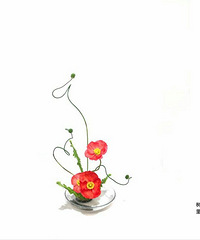 Сԭ������ʮ���Ρ���D3