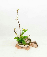 Сԭ������ʮ���Ρ���D3