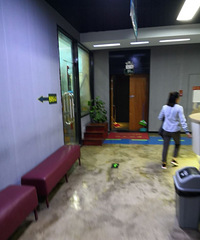 �°�������