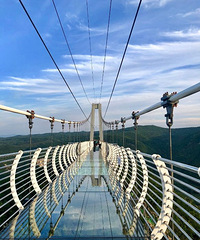 Ҫ��Ҫһ��ȥ����