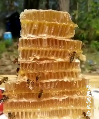 蜂巢蜜原生态