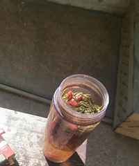 �Ȳ�ɹ̫����