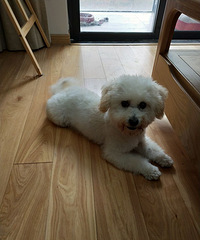 �����ҿ�����������