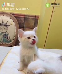 ֻʣһ��һĸ�ˣ��ɰ������ˡ�ѡֻ�����ӻ�