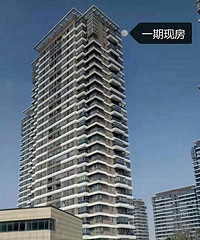 ���̼��ƶ��ڣ�ʢ��Ļ��