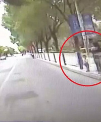 ���걦��������ƿ,������������������!�����˸�С�ֵ�!���...