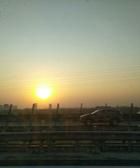 �����ױȵ�����