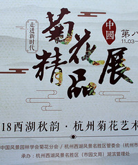 钱王祠杭州第八届菊花精品展(4)