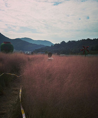 ͨ��������ͷ��·������