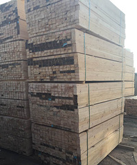 ̩������ľ�������г�