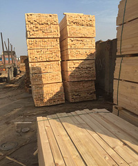 ̩������ľ�������г�