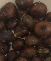 ����������ӣ�����������