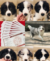 ���������������������ֽ����������ѡŶ��ϲ�����˽�һ��