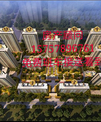嘉兴住宅, 盛大启动 国际商务区唯一不绑
