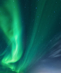 �����d��ʧ��ҹ