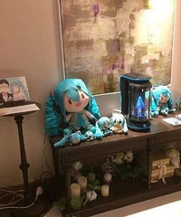 35岁宅男娶了粉丝千万的“二次元“女神”,老妈却拒绝出席婚礼