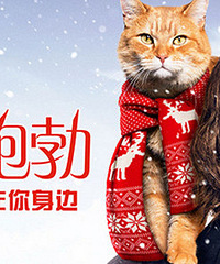 兑换码|萌宠治愈系电影《流浪猫鲍勃》