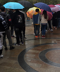 ��������ų��ӣ�����Ϊ�ˡ�