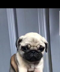 只要你想要没有我没有的