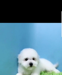 只要你想要没有我没有的