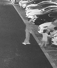 �������£���Ҳ�����£�