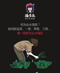 潘多乐海苔来来来,找我购买吧