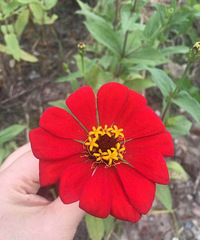 �����и�����Զ����ƫ�İ���������Ҳƫ����