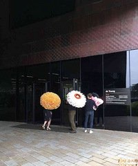 一千张纸做出的花朵