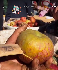 今天运气比较好发