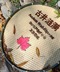 ������＾��ָ��ɽ����������