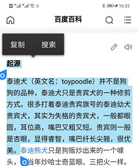 家养纯种灰贵,低价。