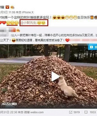 秀恩爱就秀恩爱,要不要这么露骨啊...